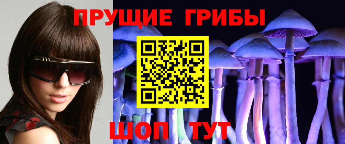 Галлюциногенные грибы прущие грибы Кулебаки