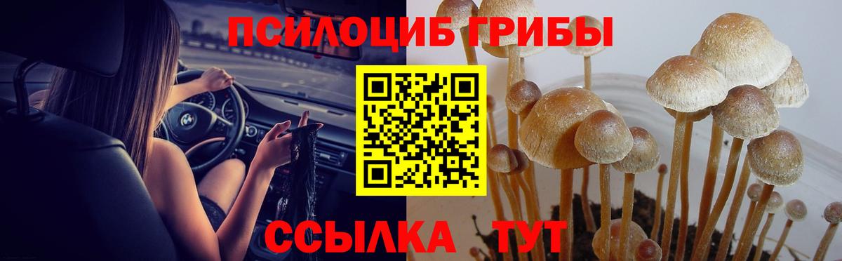 Кулебаки  Псилоцибиновые грибы ЛСД  где купить наркоту  Вход с VPN 